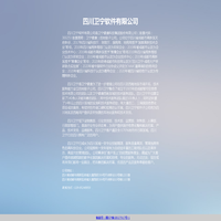 四川卫宁软件有限公司