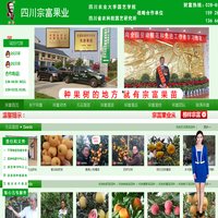 成都天府新区宗富水果种植专业合作社|无花果苗