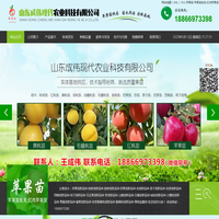 苹果苗|红肉苹果苗|苹果苗批发-莒南成伟苹果苗木基地