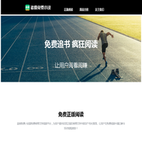 追风免费小说