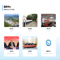 乐清市虹桥商会TV版