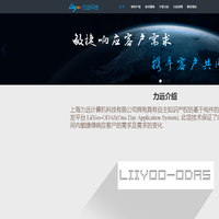 上海力远计算机科技有限公司