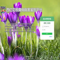 登录页