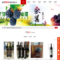 沧州桑葚-泊头桑葚采摘加盟桑葚酒 - 沧州市黑桑葚酒业有限公司