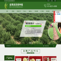 迷迭香-迷迭香苗木-特级迷迭香-禹州市金豫迷迭香种植有限公司